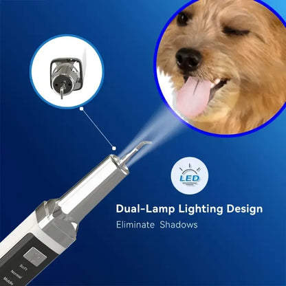 Pet Electric Tooth Cleaner Kit