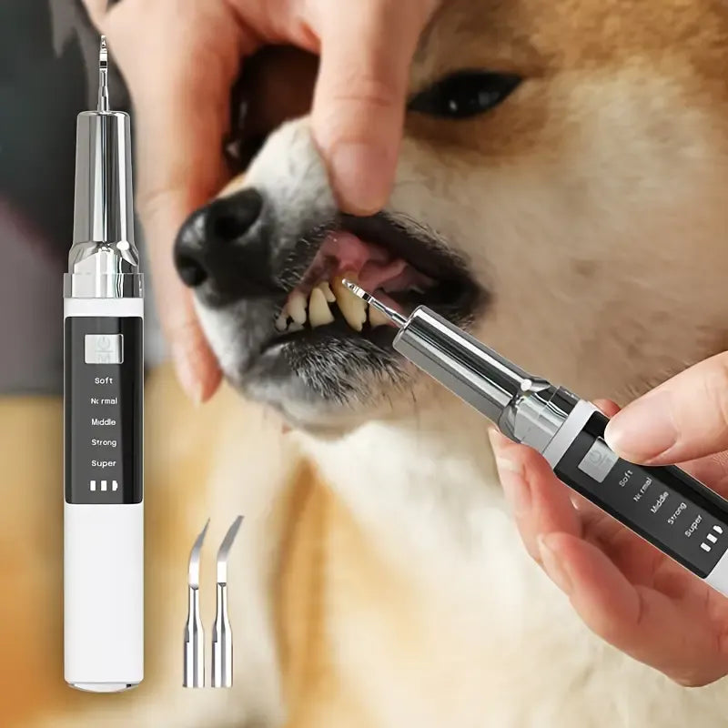 Pet Electric Tooth Cleaner Kit