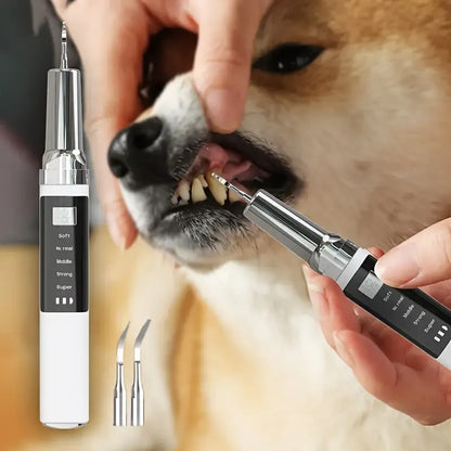 Pet Electric Tooth Cleaner Kit