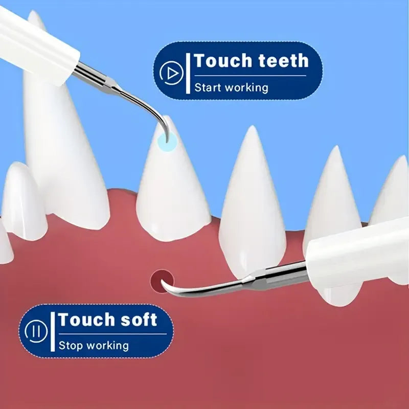 Pet Electric Tooth Cleaner Kit