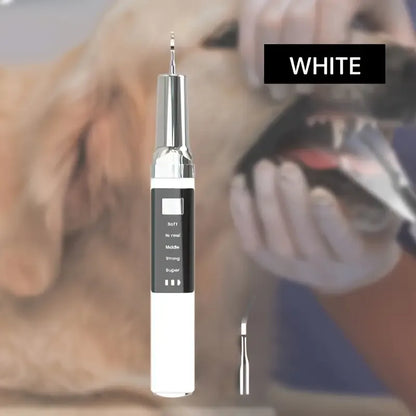 Pet Electric Tooth Cleaner Kit