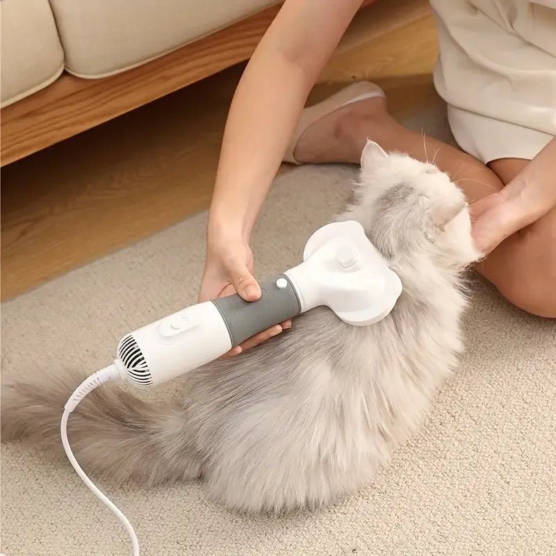 🐾 مجفف وفرشاة العناية بالحيوانات الأليفة اسأل ChatGPT 