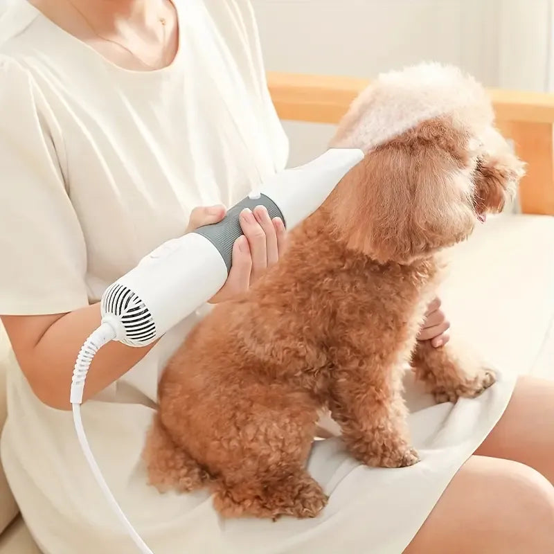 🐾 مجفف وفرشاة العناية بالحيوانات الأليفة اسأل ChatGPT 